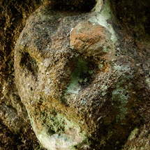 Detail "bestie" z Rysího kamene